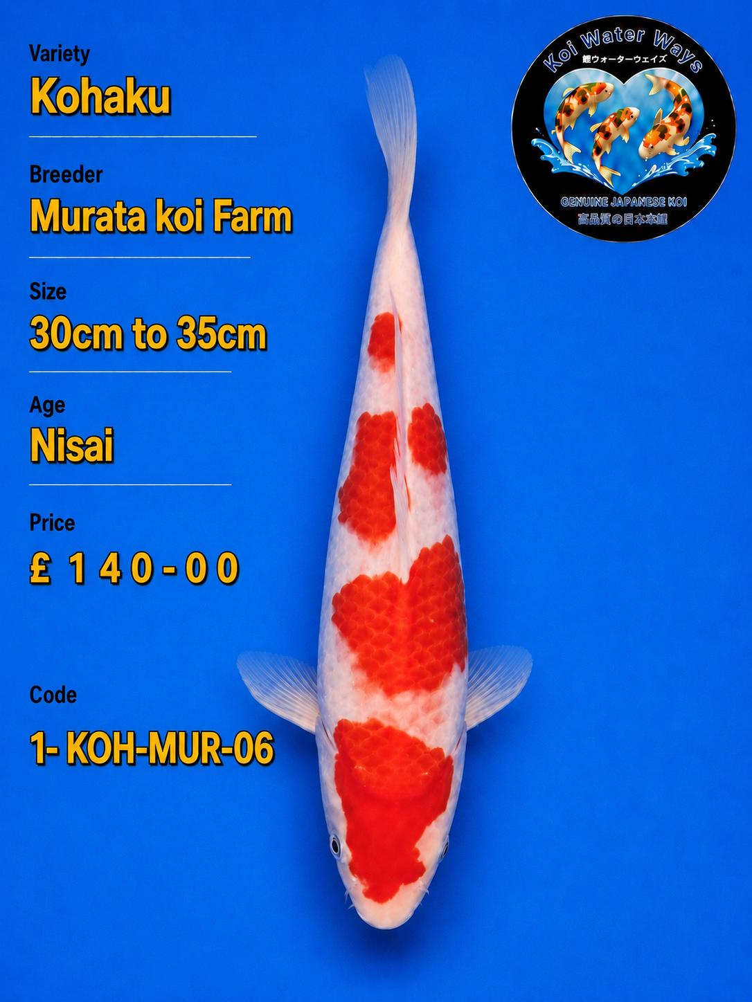 Kohaku